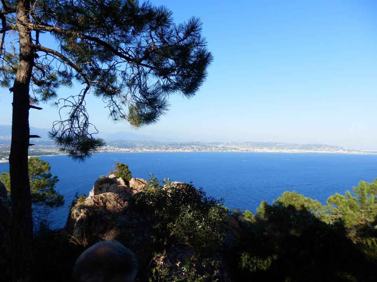 Esterel Terrasses, Roof Top, Plage, Parking Payant Cannes Exteriör bild