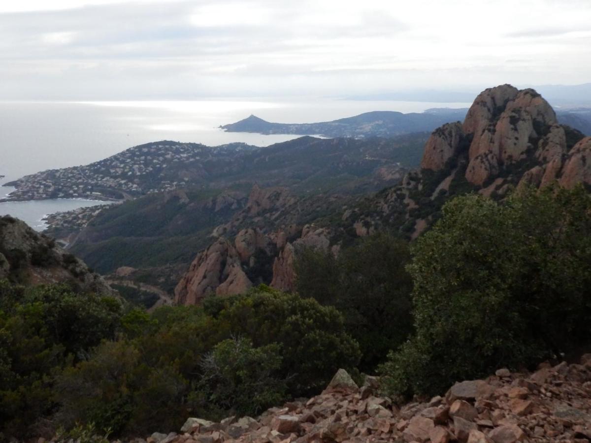 Esterel Terrasses, Roof Top, Plage, Parking Payant Cannes Exteriör bild